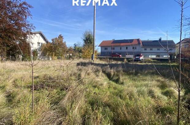 Grundstück kaufen in 4470 Enns (Bild 5)