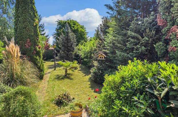 Mehrfamilienhaus kaufen in 1220 Wien (Bild 3)