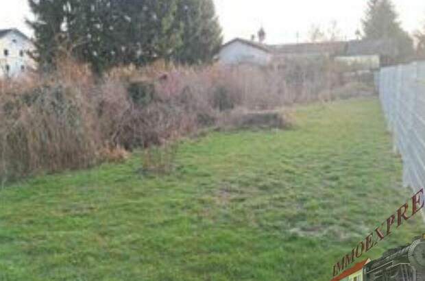 Grundstück kaufen in 4702 Wallern (Bild 3)