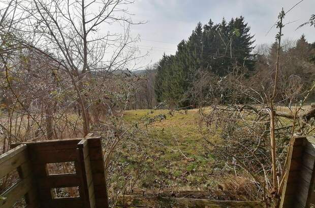 Gewerbeobjekt kaufen in 8342 Gnas (Bild 4)