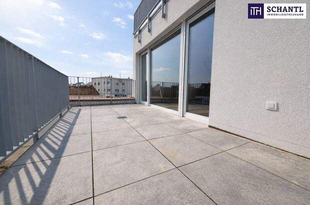 Terrassenwohnung kaufen in 2514 Traiskirchen (Bild 3)