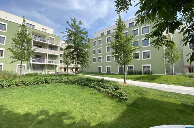 Wohnung mit Balkon mieten in 3451 Pixendorf (Bild 2)