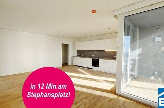 Terrassenwohnung mieten in 1220 Wien (Bild 1)