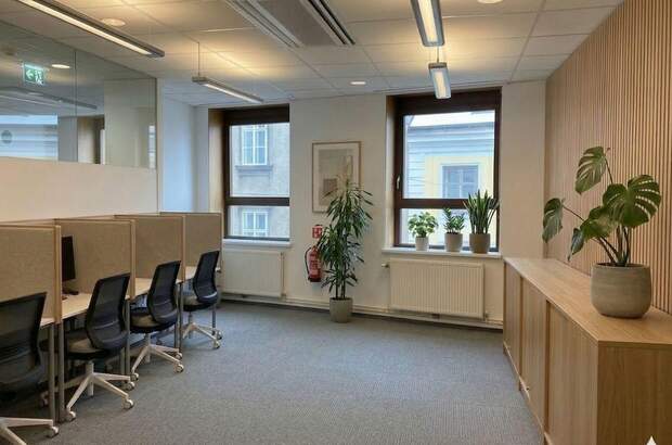 Gewerbeobjekt mieten in 1070 Wien (Bild 4)