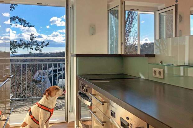 Wohnung mieten in 1180 Wien (Bild 1)