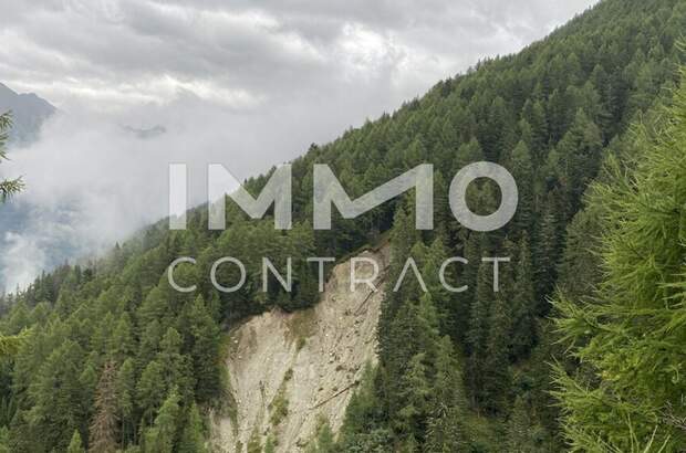 Immobilie kaufen in 9981 Kals (Bild 5)