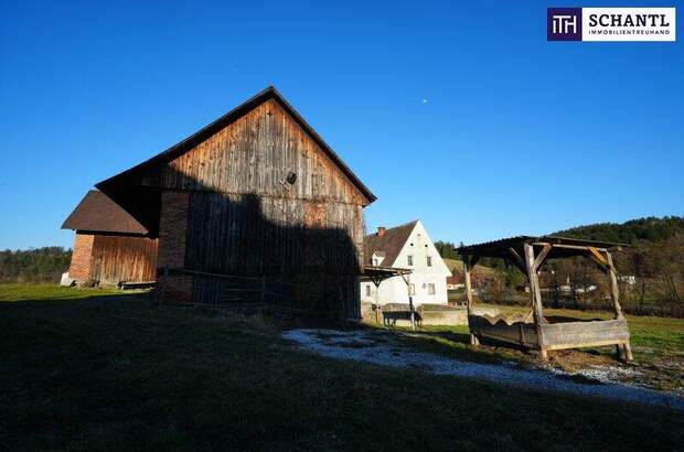 Immobilie kaufen in 8570 Voitsberg (Bild 4)