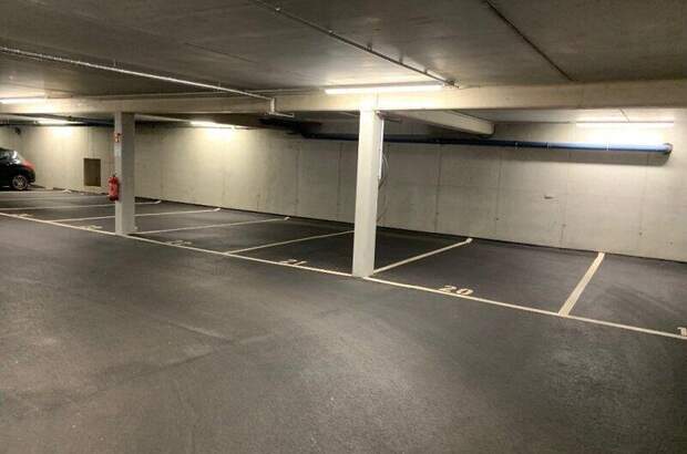 Halle / Lager / Produktion mieten in 2353 Guntramsdorf (Bild 2)