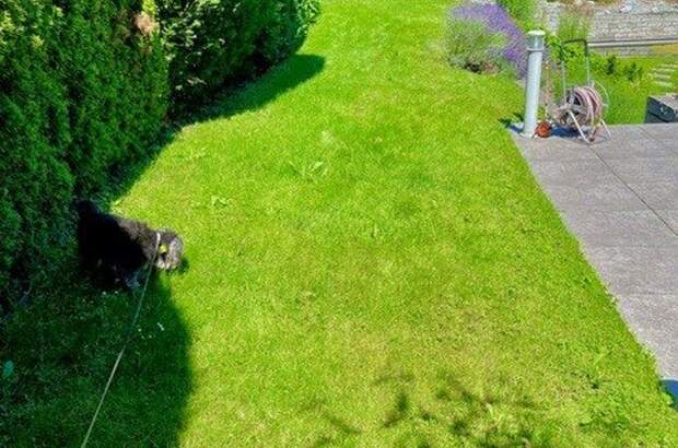 Haus mit Garten kaufen in 2344 Maria Enzersdorf (Bild 5)