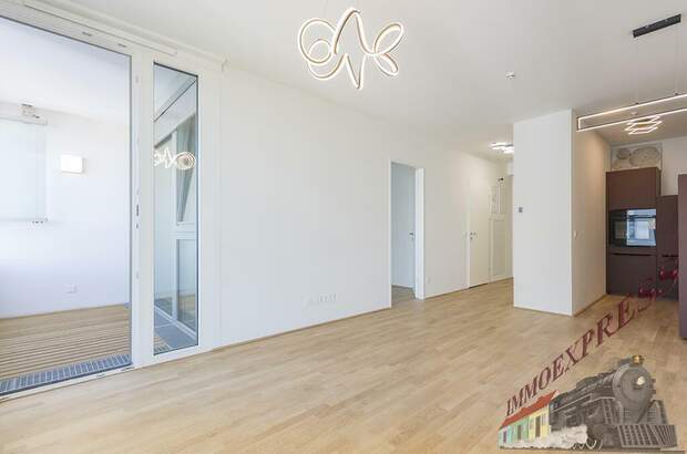 Terrassenwohnung mieten in 1220 Wien (Bild 3)