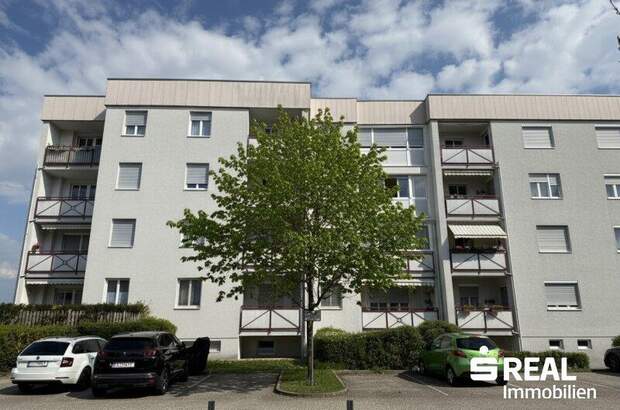 Terrassenwohnung kaufen in 4481 Asten (Bild 1)