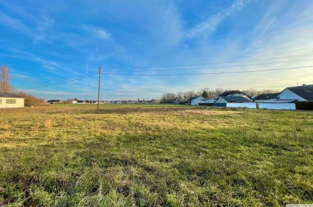 Grundstück kaufen in 4614 Marchtrenk (Bild 3)