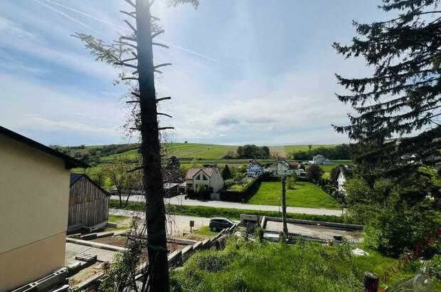 Grundstück kaufen in 2123 Hautzendorf (Bild 4)