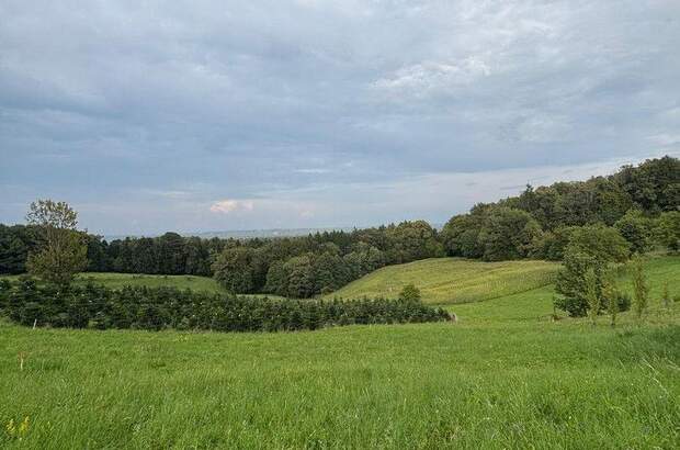 Grundstück kaufen in 8434 Maxlon (Bild 4)