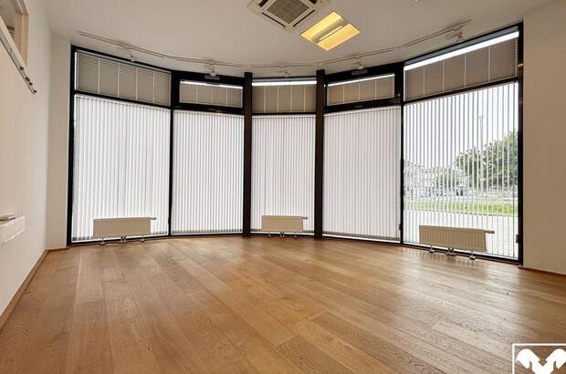 Gewerbeobjekt mieten in 4600 Wels (Bild 3)