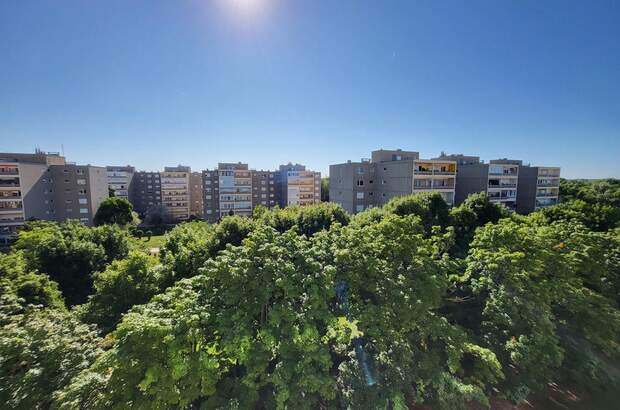 Terrassenwohnung kaufen in 2514 Traiskirchen (Bild 2)
