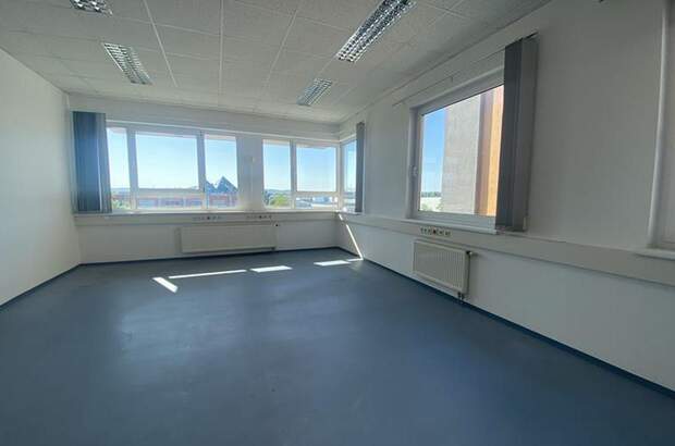 Gewerbeobjekt mieten in 1230 Wien (Bild 2)