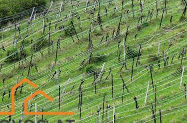 Grundstück kaufen in 3400 Klosterneuburg