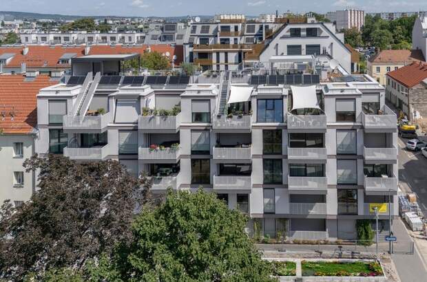 Terrassenwohnung kaufen in 1220 Wien (Bild 1)