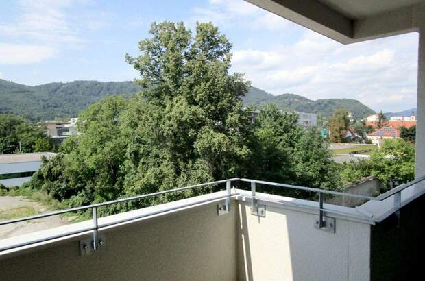 Mietwohnung in 8020 Graz Eggenberg (Bild 1)