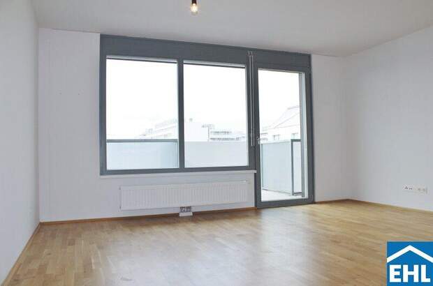 Terrassenwohnung mieten in 1110 Wien (Bild 1)