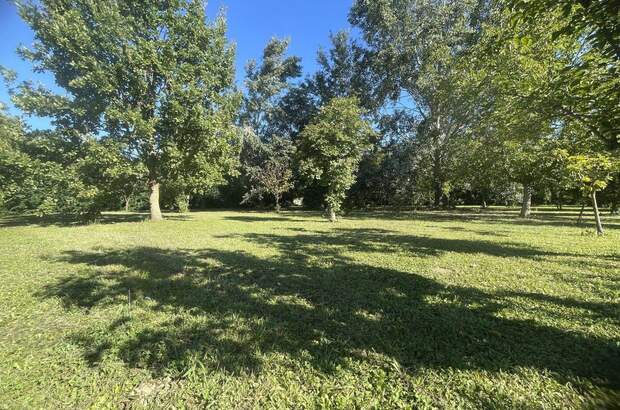 Haus mit Garten kaufen in 33050 Pocenia (Bild 5)