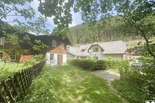 Haus kaufen in 2734 Puchberg (Bild 1)