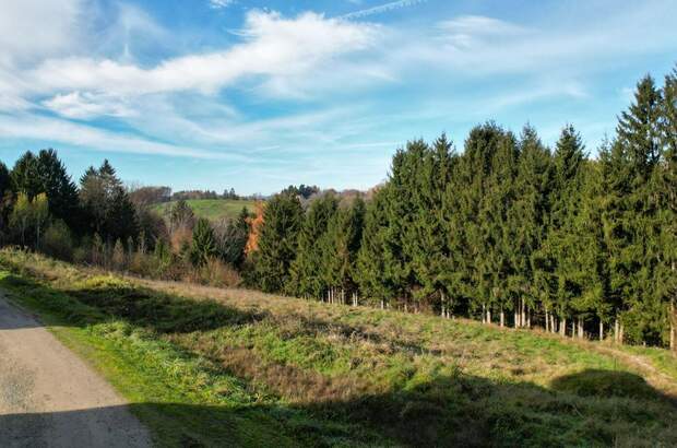 Grundstück kaufen in 8301 Kainbach (Bild 2)