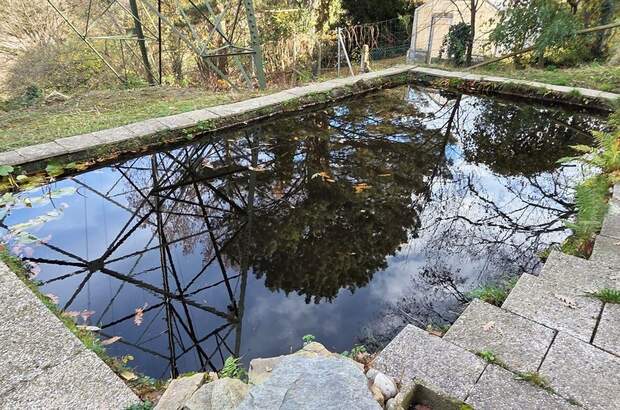 Haus mit Garten kaufen in 3400 Klosterneuburg (Bild 4)