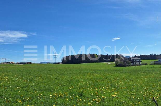 Grundstück kaufen in 5201 Seekirchen (Bild 1)