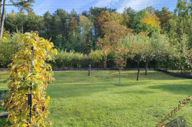 Einfamilienhaus kaufen in 2632 Grafenbach (Bild 3)