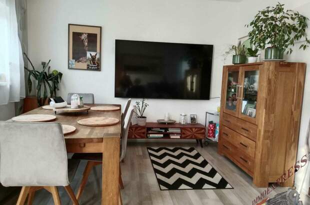 Mehrfamilienhaus kaufen in 2514 Traiskirchen (Bild 5)