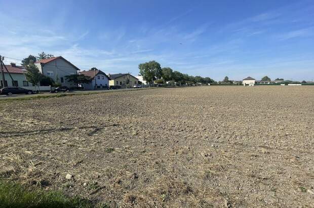 Gewerbeobjekt kaufen in 1220 Wien (Bild 3)