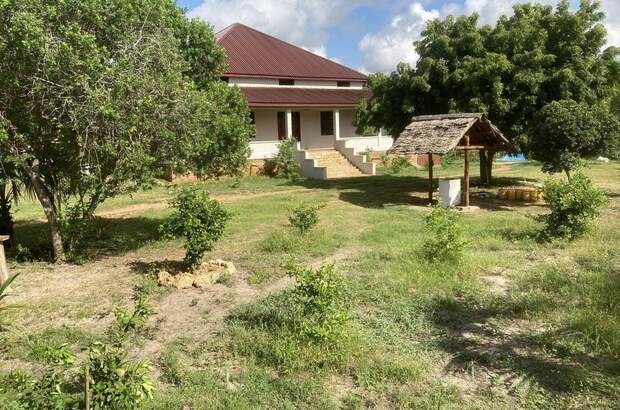 Haus kaufen (Bild 5)