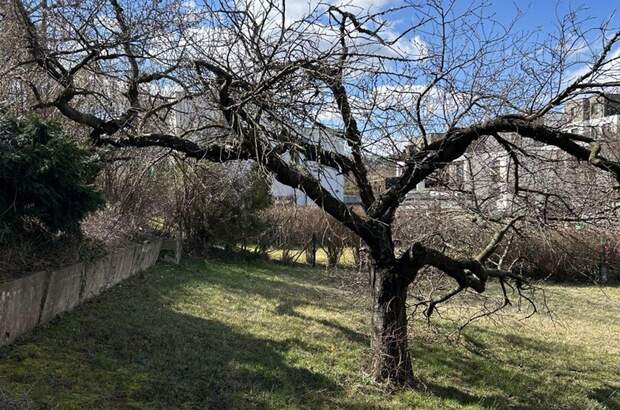 Grundstück kaufen in 2345 Brunn (Bild 3)