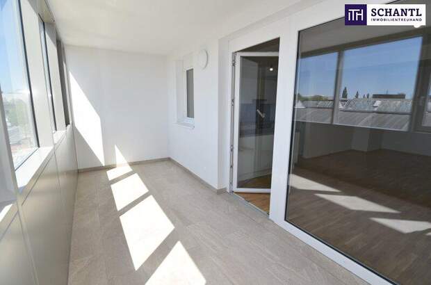 Terrassenwohnung mieten in 2320 Schwechat (Bild 3)