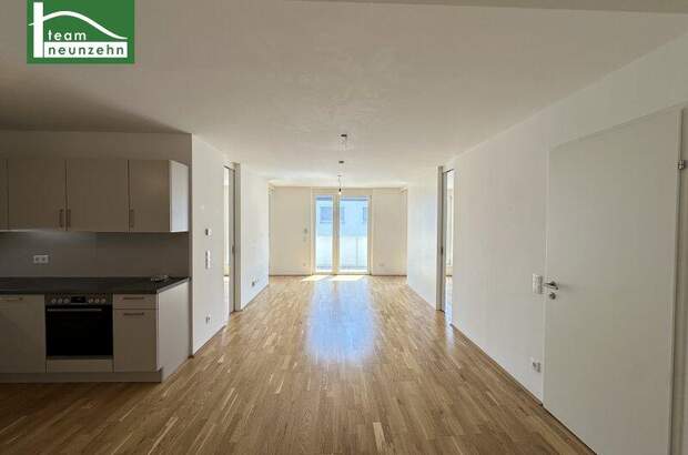 Terrassenwohnung mieten in 1220 Wien (Bild 1)