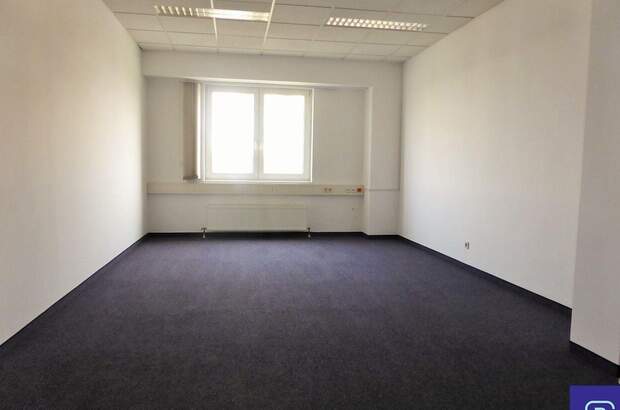 Gewerbeobjekt mieten in 1230 Wien (Bild 4)