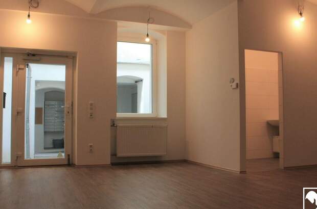 Gewerbeobjekt mieten in 4040 Linz (Bild 4)
