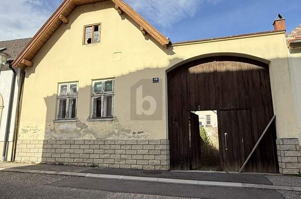 Bauernhaus kaufen in 7072 Mörbisch (Bild 1)