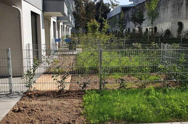 Mietwohnung in 4600 Wels (Bild 2)