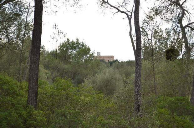 Immobilie kaufen in 7210 Algaida (Bild 3)