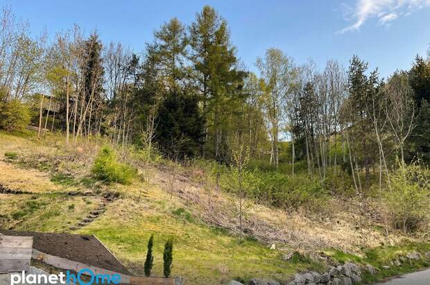 Grundstück kaufen in 6143 Schönberg (Bild 5)