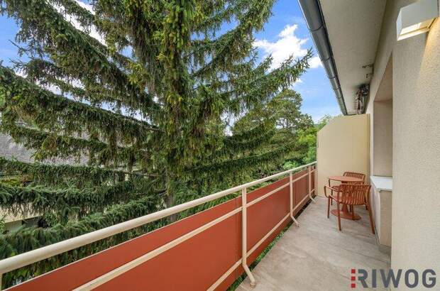Terrassenwohnung kaufen in 2500 Baden (Bild 1)