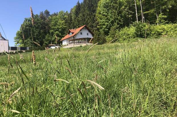 Grundstück kaufen in 8411 Hengsberg (Bild 1)