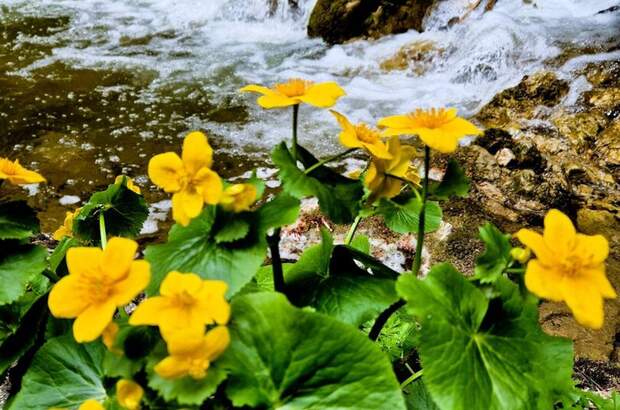 Eigentumswohnung in 8020 Graz