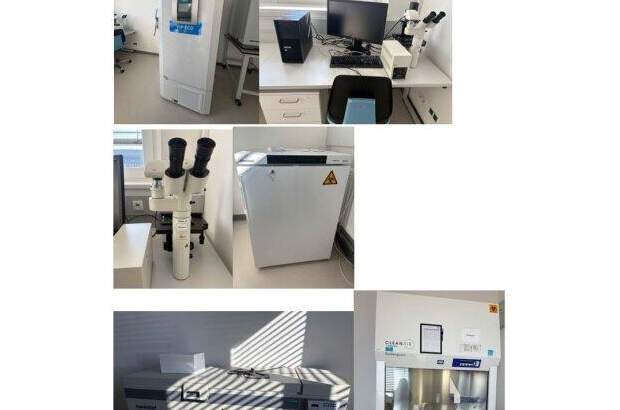 Büro / Praxis mieten in 1190 Wien (Bild 4)