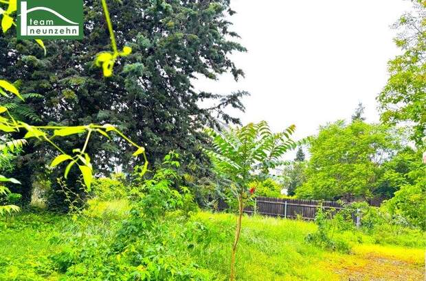 Grundstück kaufen in 1180 Wien (Bild 1)