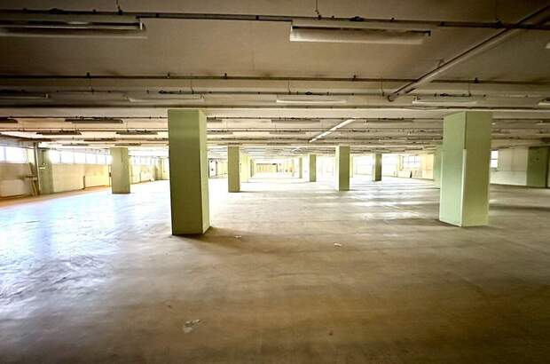 Gewerbeobjekt mieten in 8055 Graz (Bild 1)
