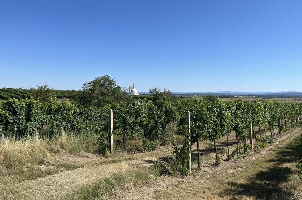 Gewerbeobjekt kaufen in 3492 Engabrunn (Bild 2)